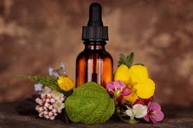 Florais de Bach: equilíbrio emocional com delicadeza e profundidade